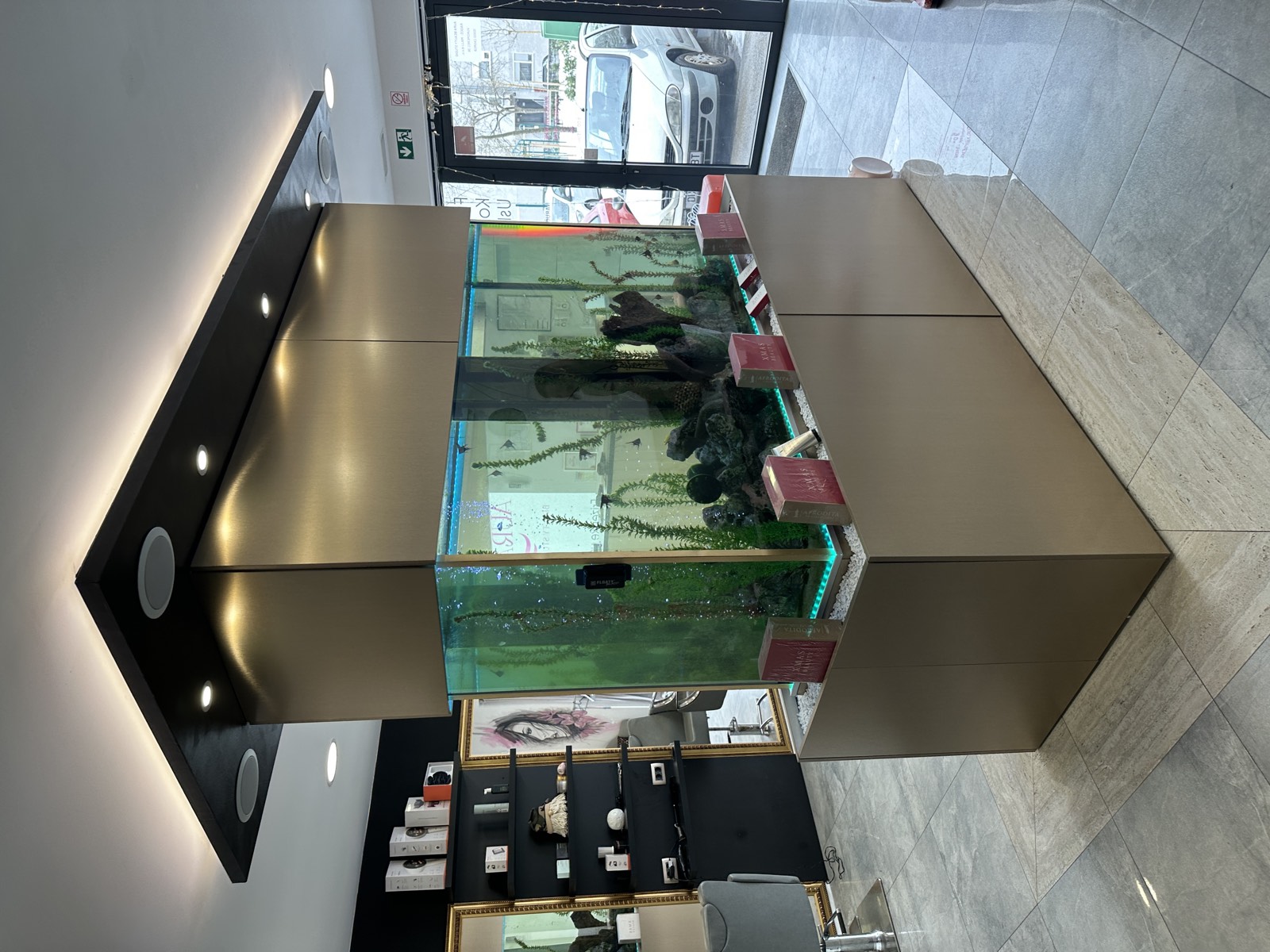 Središnji dio salona s akvarijem i prirodnim svjetlom